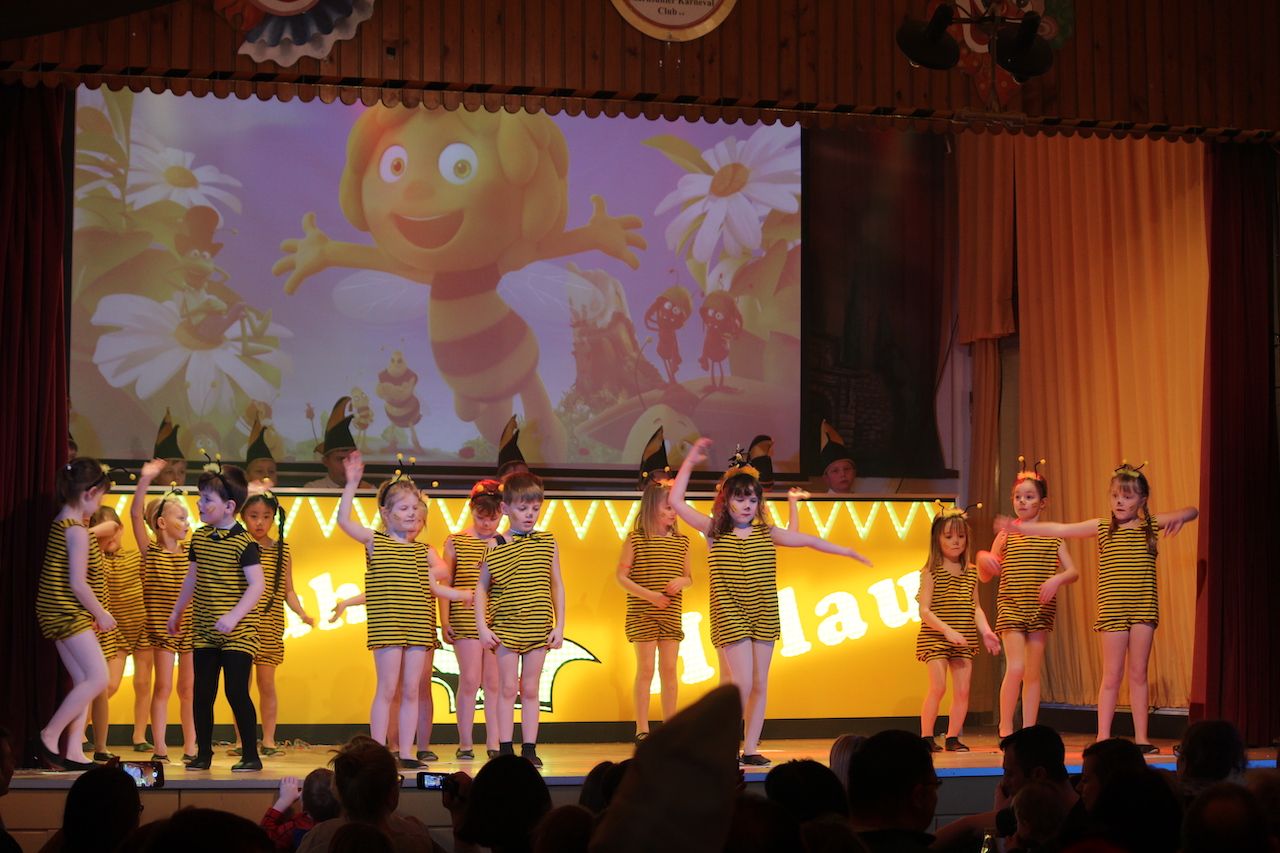 Impression Kinder- und Jugendkarneval I, Foto 39