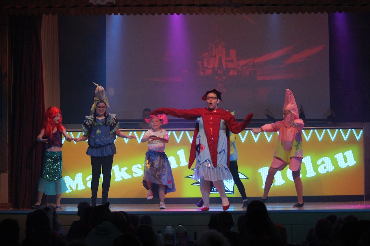 Impression Kinder- und Jugendkarneval II, Foto 248