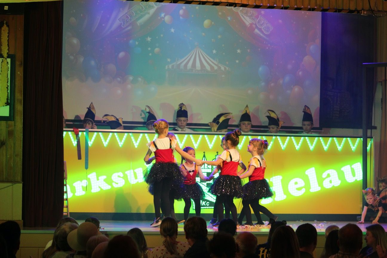 Impression Kinder- und Jugendkarneval, Foto 215