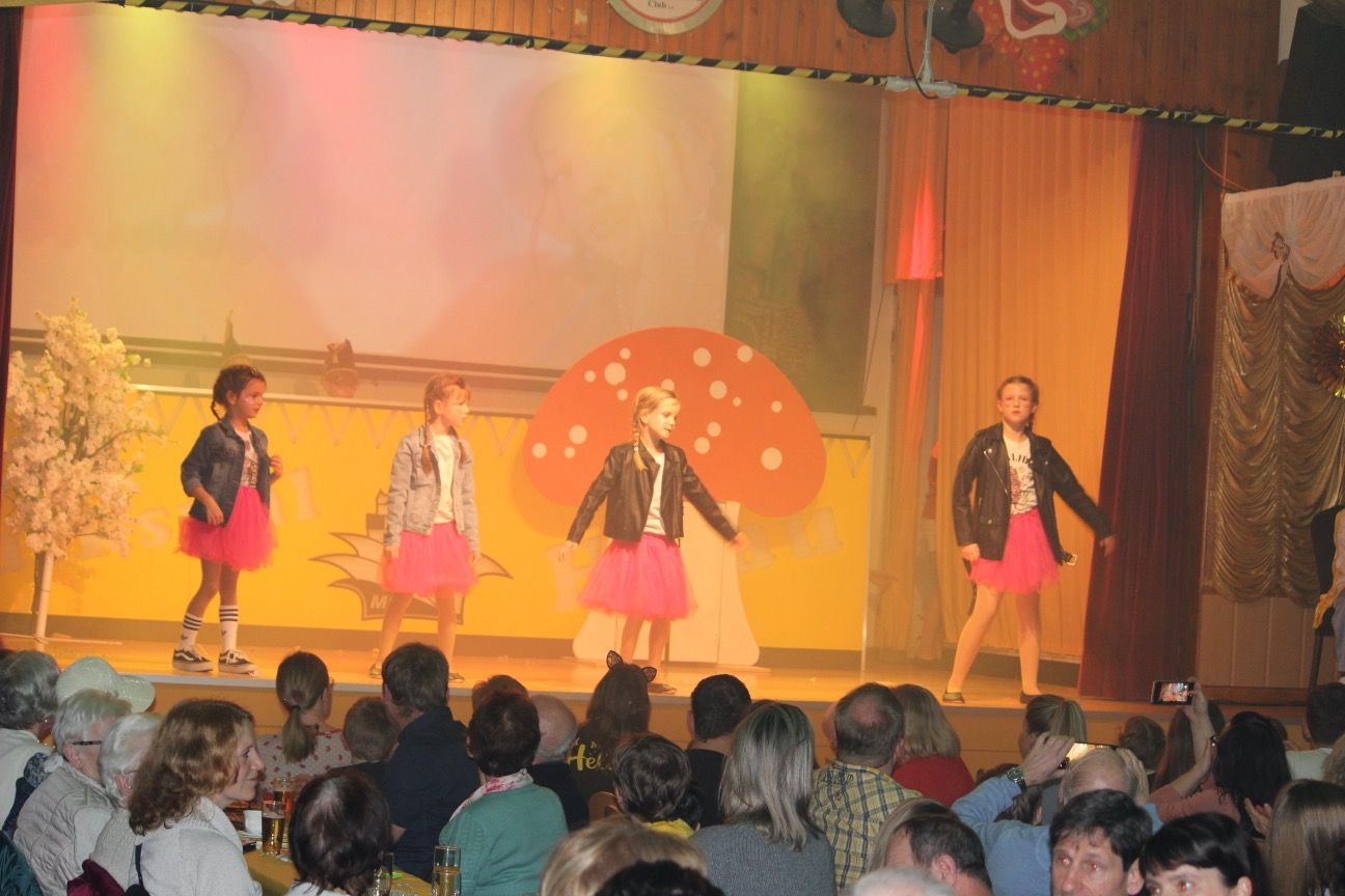 Impression Kinder- und Jugendkarneval, Foto 373